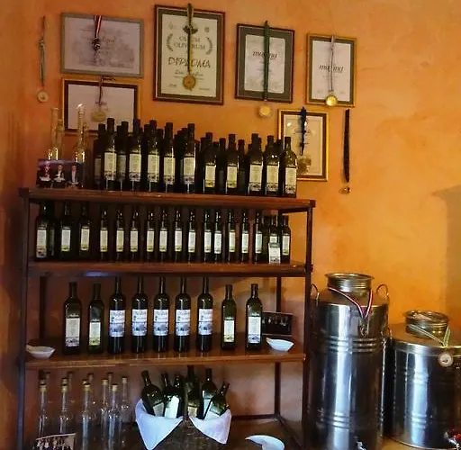 Parenzana Bibali 65 A 52460-buje * Buje