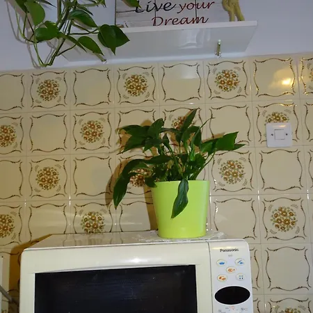 Parenzana Bibali 65 A 52460-buje Apartment Buje