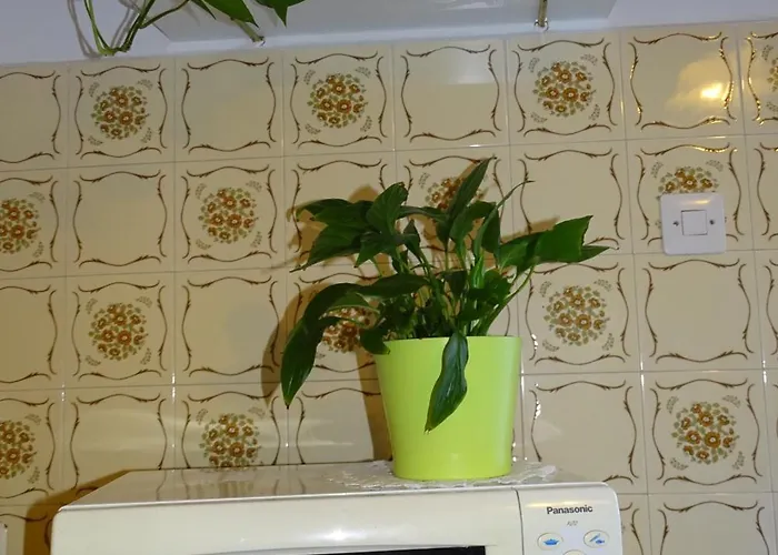 Parenzana Bibali 65 A 52460-buje Apartment Buje